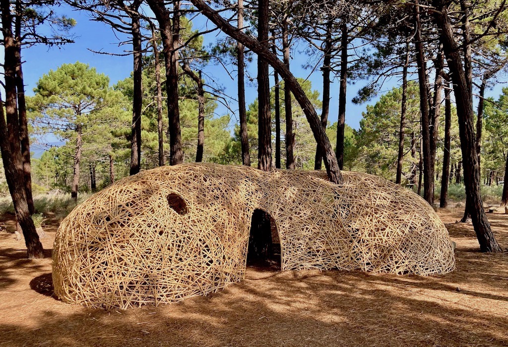 florence-cannavacciuolo-a casughja-cabane-pinede-canne-roseau-contemporary-basketry-sculpture-oeuvre contemporaine-art paysage-architecture-design-vannerie-tressage-jardin-deco-construction-structure-installation artistique-environnement-materiaux naturels-patrimoine.